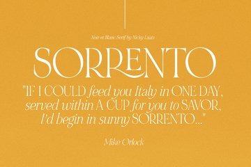 NOIR et BLANC Stylish Serif preview image 27 by Nicky Laatz