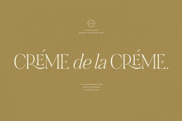 NOIR et BLANC Stylish Serif preview image 5 by Nicky Laatz