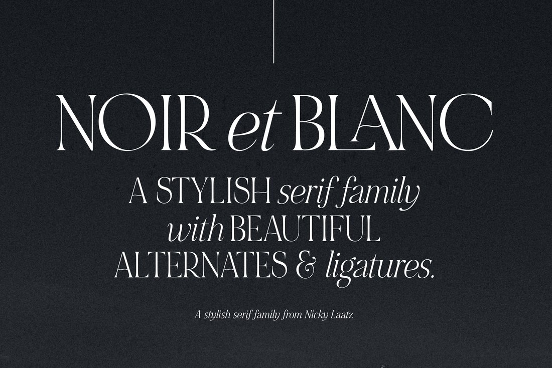 NOIR et BLANC Stylish Serif main product image by Nicky Laatz