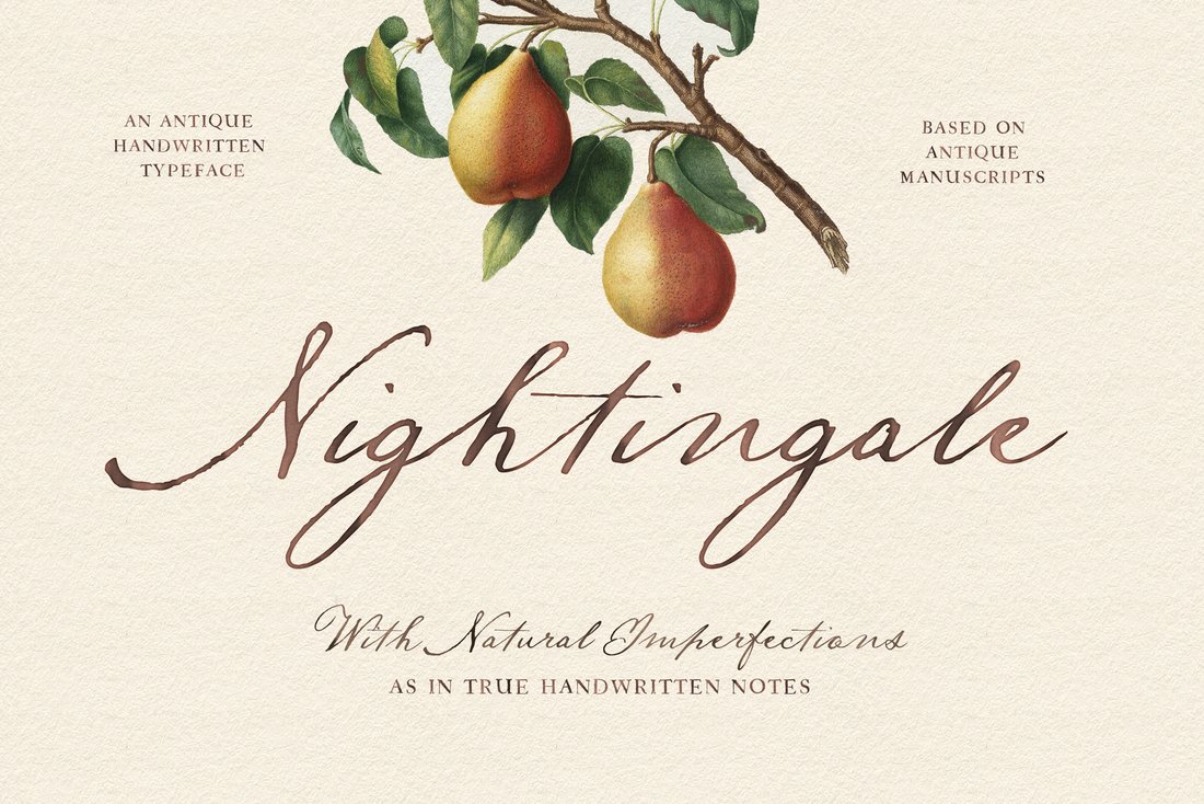 Nightingale Script main product image by Nicky Laatz