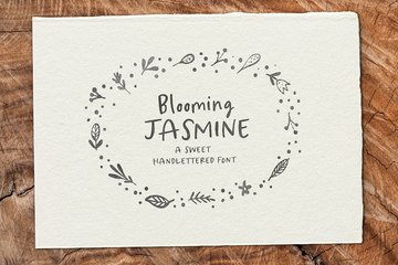 Blooming Jasmine Font main product image by Nicky Laatz