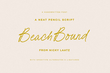 Beach Bound Pencil Script preview image 21 by Nicky Laatz