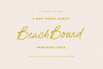 Beach Bound Pencil Script preview image 21 by Nicky Laatz