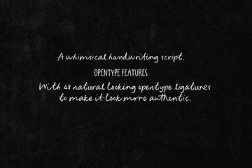 Beautiful Starshine Script Font preview image 1 by Nicky Laatz