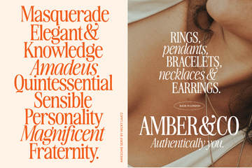Awesome Serif Family preview image 3 by Nicky Laatz