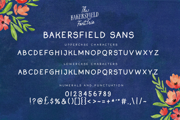 Bakersfield Font Trio preview image 17 by Nicky Laatz