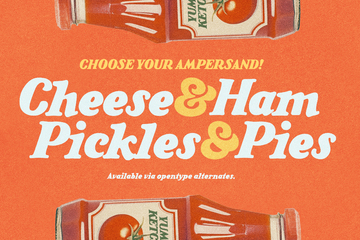 Saucy Ketchup Retro Serif preview image 18 by Nicky Laatz