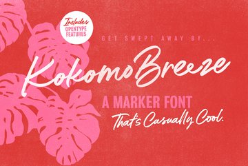 Kokomo Breeze Font main product image by Nicky Laatz