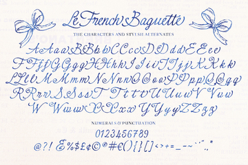 Le French Baguette preview image 21 by Nicky Laatz