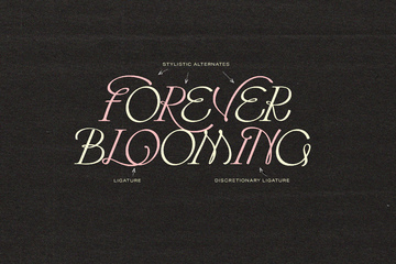 Hearts Entangled Display Typeface preview image 29 by Nicky Laatz