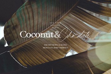 California Palms Fonts & Graphics preview image 7 by Nicky Laatz