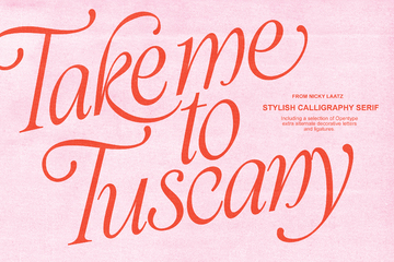 Take Me To Tuscany Typeface preview image 34 by Nicky Laatz