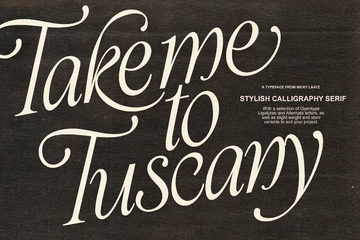 Take Me To Tuscany Typeface preview image 35 by Nicky Laatz
