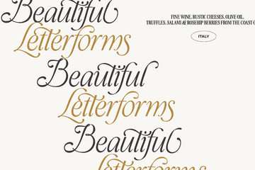 Take Me To Tuscany Typeface preview image 33 by Nicky Laatz