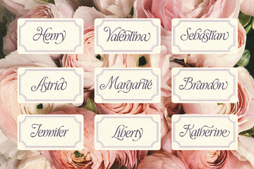 Take Me To Tuscany Typeface preview image 30 by Nicky Laatz
