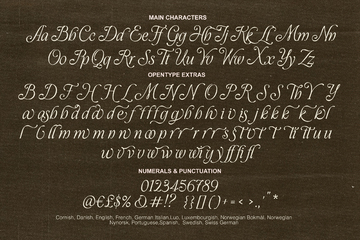 Take Me To Tuscany Typeface preview image 36 by Nicky Laatz