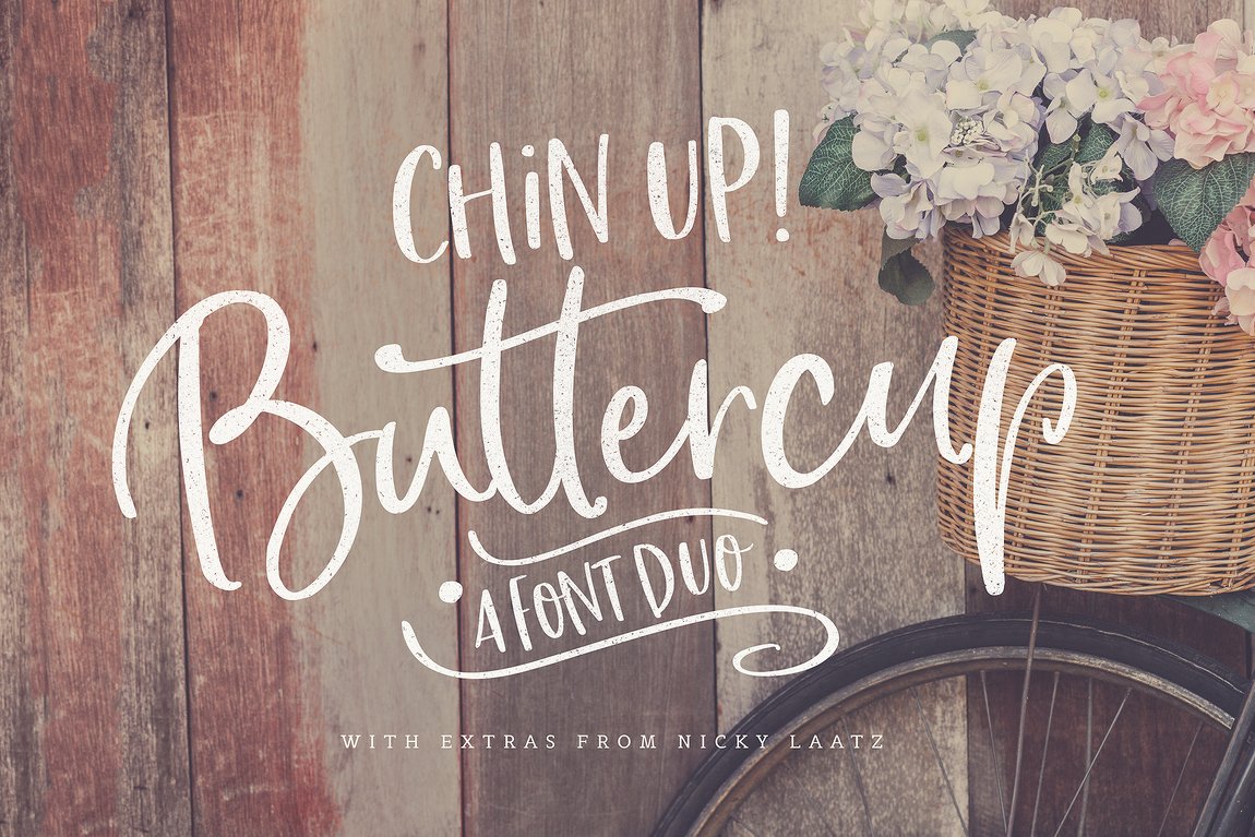 Chin Up Buttercup Font Duo main product image by Nicky Laatz