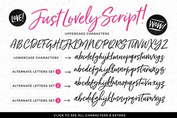 Just Lovely Script preview image 3 by Nicky Laatz