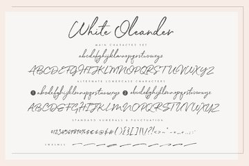 White Oleander Script Font preview image 8 by Nicky Laatz