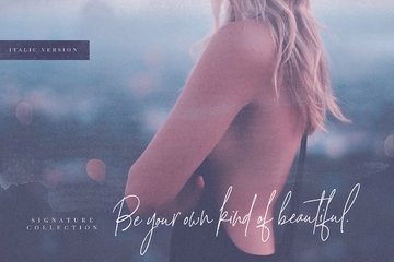 Signature Collection Script Font preview image 11 by Nicky Laatz
