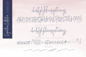 Signature Collection Script Font preview image 12 by Nicky Laatz