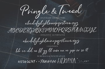 Pringle & Tweed Script preview image 10 by Nicky Laatz