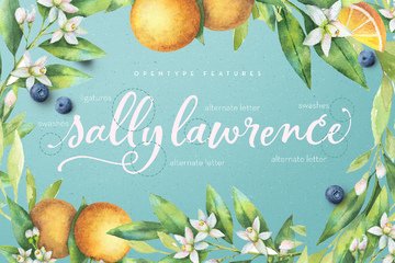 Simply Sweet Font Duo preview image 12 by Nicky Laatz