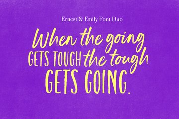 Ernest and Emily Font Duo preview image 12 by Nicky Laatz