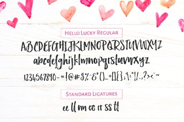 Hello Lucky Brush Font preview image 7 by Nicky Laatz