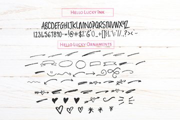 Hello Lucky Brush Font preview image 8 by Nicky Laatz