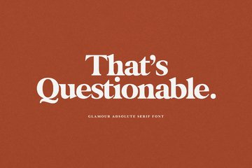Glamour Absolute Modern Vintage Font preview image 18 by Nicky Laatz