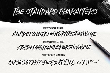 Stone Harbour Brush Font preview image 11 by Nicky Laatz