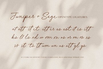 Juniper and Sage Font preview image 26 by Nicky Laatz